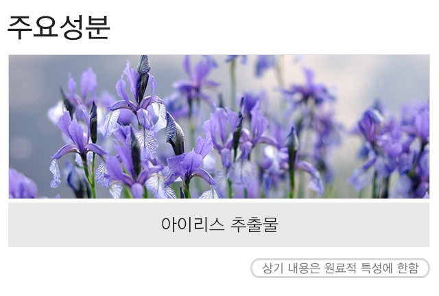 MISSHA_Flower_bouquet_Cleansing_Foam__Iris_2-crop.jpg