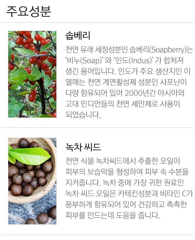Missha_Micro_Bubble_Foam_Green_Tea_Seed_03__-crop2.jpg